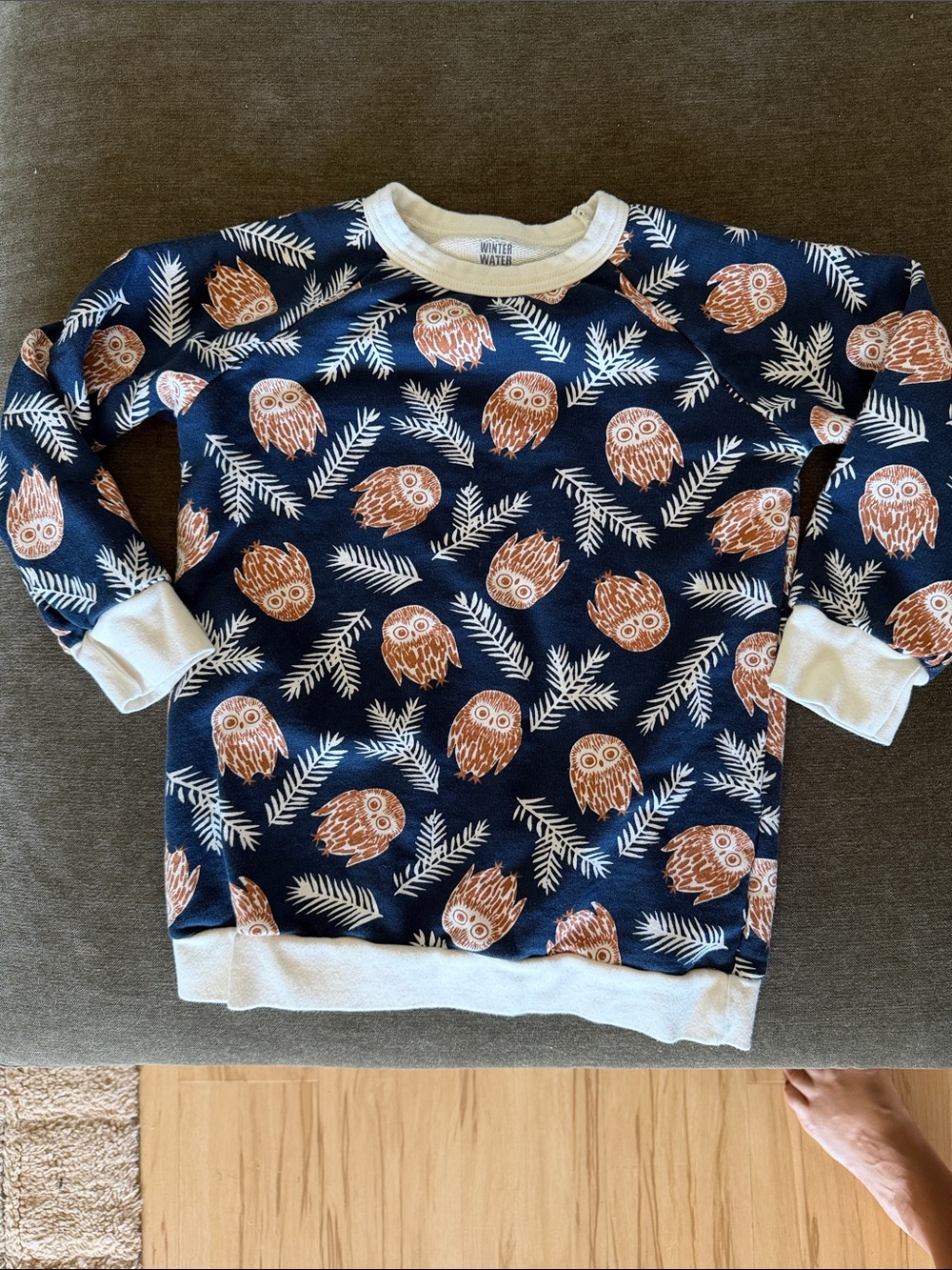 Winter Water Kids Navy Owl Print Pullover Sweatshirt